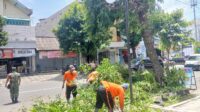 IMG-20250129-WA0007