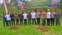IMG-20250501-WA0026