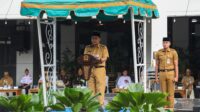 IMG-20250602-WA0204