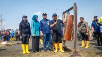 IMG-20250605-WA0262